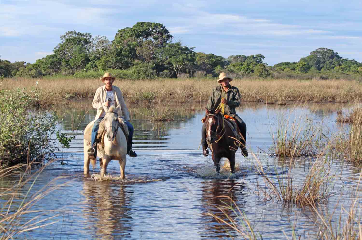 Im Pantanal